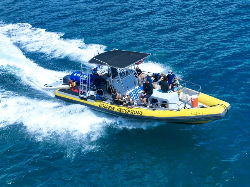 Oahu: Dolphin Swim and Turtle Snorkel Excursion in Waianae - Dolphin search off Waianae: how wildlife watching becomes more than luck