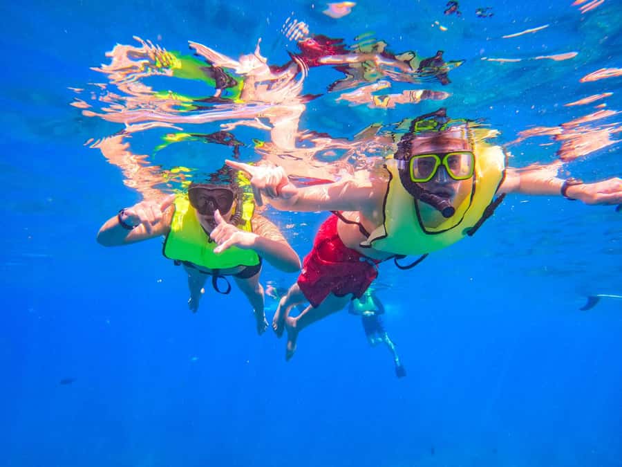 Oahu: Dolphin Watching & Turtle Snorkeling with Waterslide - Getting there: Waikiki or Ko Olina shuttle, or self-drive to Waianae