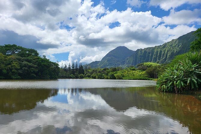 Oahu Fun Circle Island Tour With Pickup - Halona Blowhole and the East-side surf drama: fast stops, big scenery