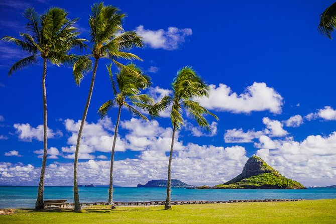 Oahu Grand Circle Island and Haleiwa Tour: 9-Hr Deluxe Experience - Haleiwa Town for Lunch and Shopping: The North Shore Part That Feels Local