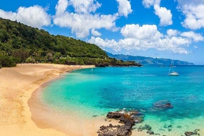 Oahu Grand Circle Island Experience from Waikiki - The North Shore Roll: Waves, Sea Turtles, and Shark’s Cove