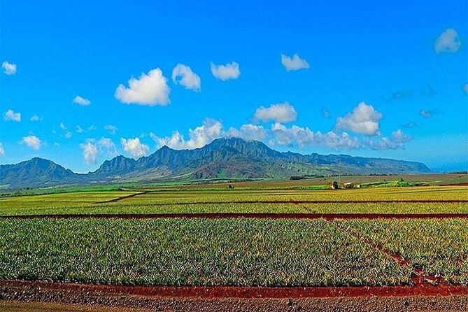 Oahu Grand Circle Island Experience from Waikiki - Price and Timing: Getting Value From a 10-to-11-Hour Day