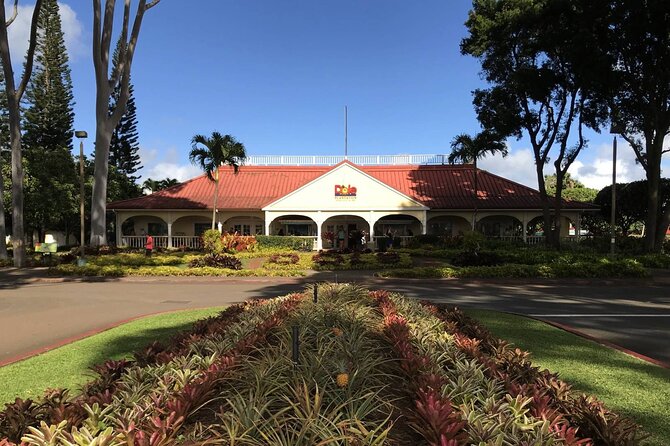 Oahu: Grand Tour Around Island 16 Locations plus Snorkeling - Why This 16-Stop O‘ahu Loop Is a Smart First-Day Move