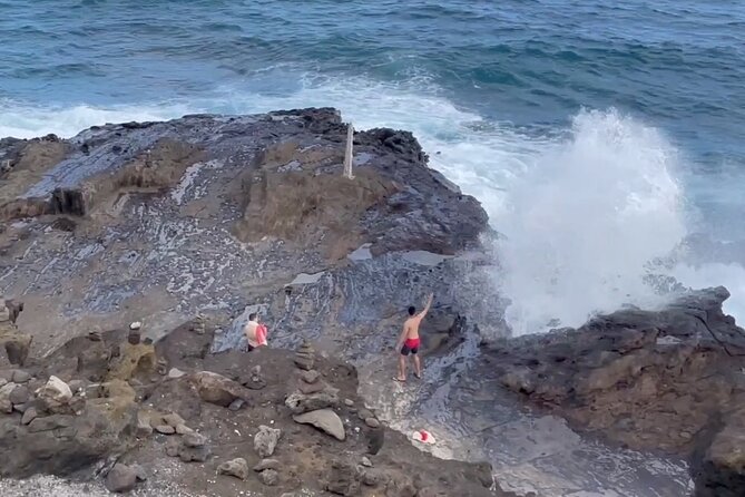 Oahu Guided Circle Island Tour, Swim w/ Turtles, Dole, Blowhole - Price and logistics: what you’re really paying for