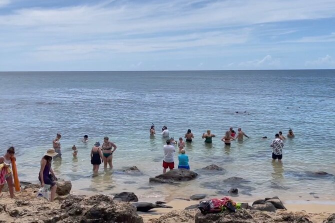 Oahu Guided Circle Island Tour, Swim w/ Turtles, Dole, Blowhole - Waikiki and Diamond Head: the classic Oahu opener