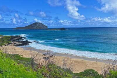Oahu Island Experience feat the North Shore (Small Group Tour) - Tropical Farms Macadamia Stop: Snacks, Samples, and an Easy Reset