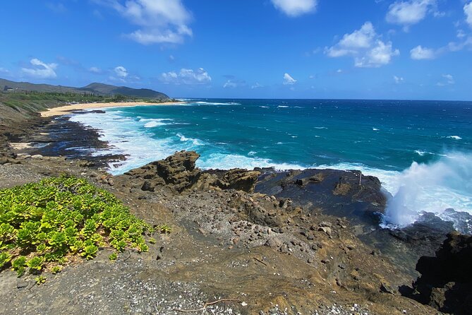 Oahu Island Experience feat the North Shore (Small Group Tour) - Kahuku Sugar Mill Food Trucks: The Lunch Area You’ll Want to Understand