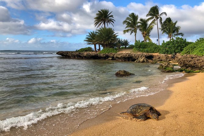 Oahu Island Photography Tour - Sacred Sites, Waterfalls, and Rainforest Stops You Might Actually Photograph