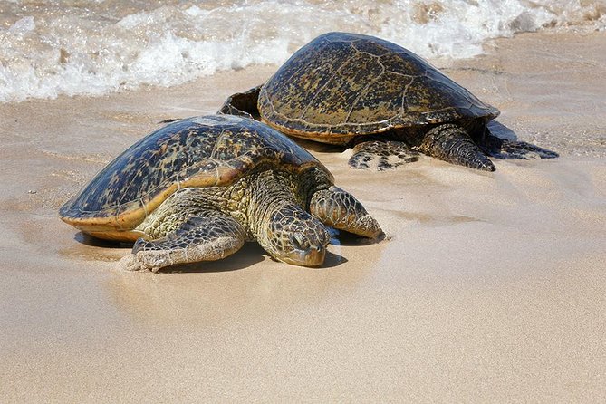 Oahu Island Photography Tour - What to Pack (and what to do with your camera)