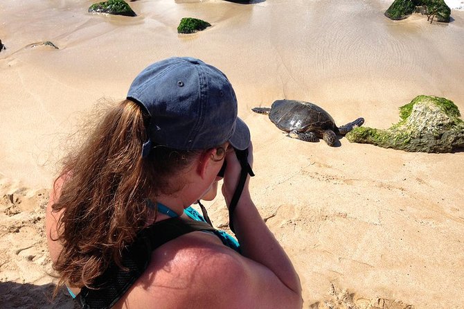 Oahu Island Photography Tour - Should You Book This Oahu Photography Tour?