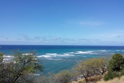 Oahu Island Tour: 13 ppl Max, Snorkel at Turtle Beach + Lunch - Pickup, Timing, and Why You Need to Be Ready