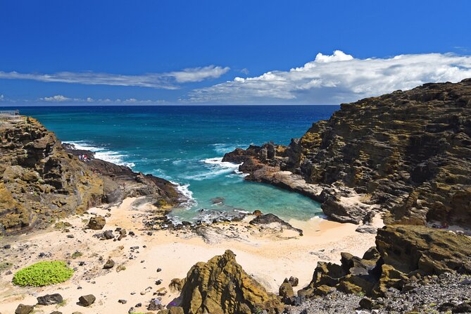 Oahu Island Tour: 13 ppl Max, Snorkel at Turtle Beach + Lunch - How the Short Stops Make Sense (If You Use Them Right)