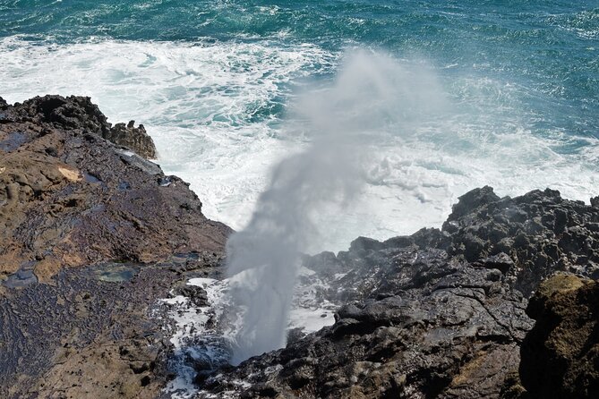 Oahu Island Tour: 13 ppl Max, Snorkel at Turtle Beach + Lunch - Price and Value: Is $149 Fair for This Much Coverage?