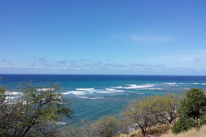Oahu Island Tour: 13 ppl Max, Snorkel at Turtle Beach + Lunch - Pickup, Timing, and Why You Need to Be Ready