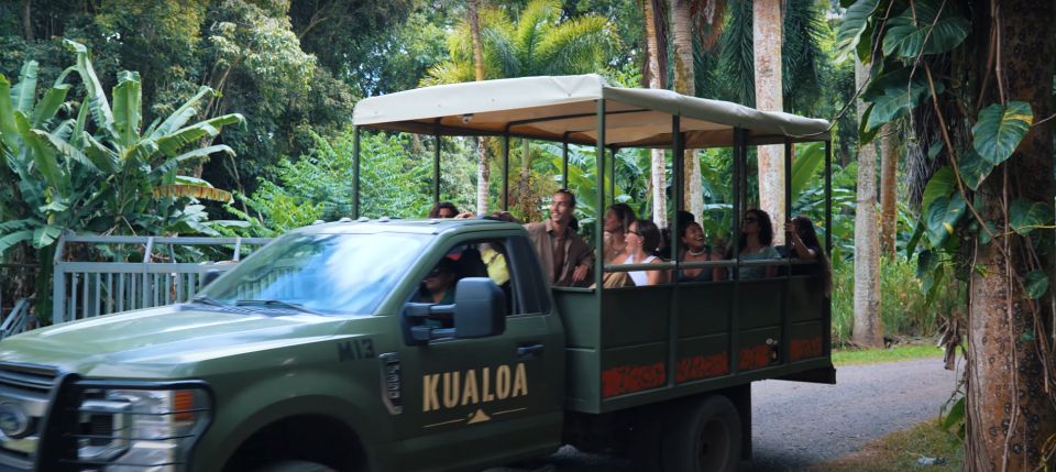 Oahu: Kualoa Jurassic Movie Set Adventure Tour - Timing and Weather: The Two Things That Can Make or Break Your Day