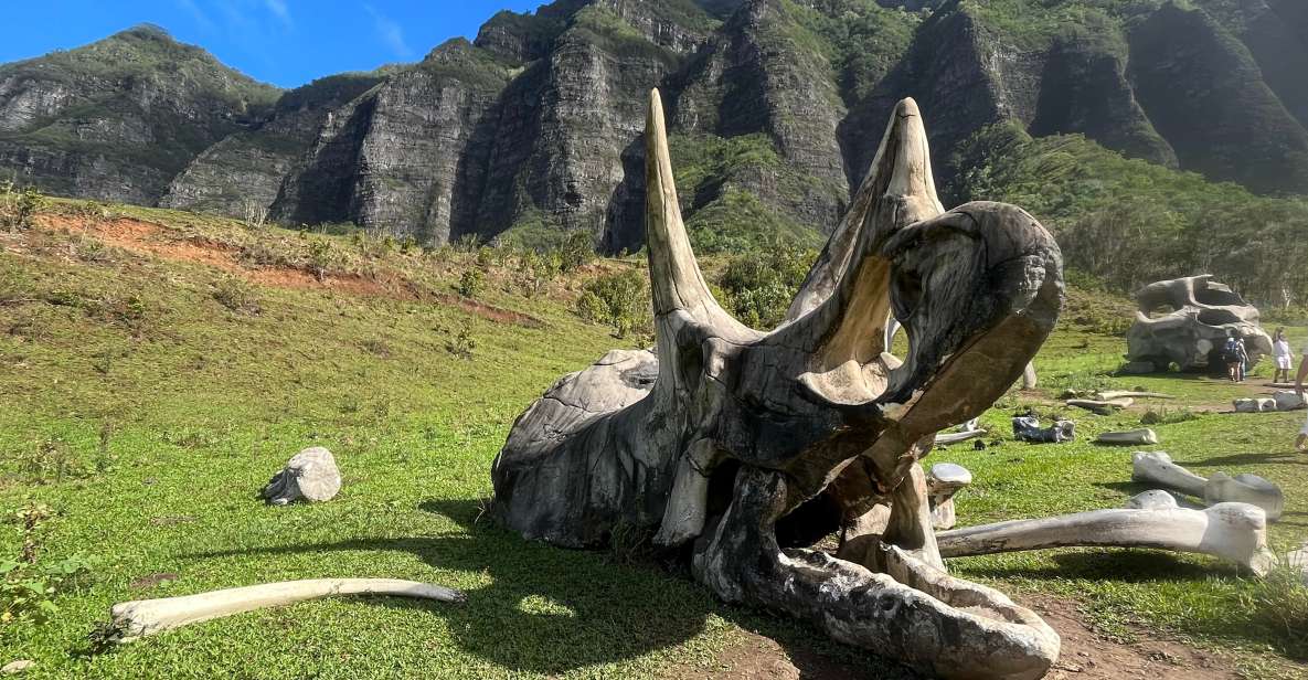 Oahu: Kualoa Movie Sites, Jungle, and Buffet Tour Package - How the day flows from check-in to lunch and back