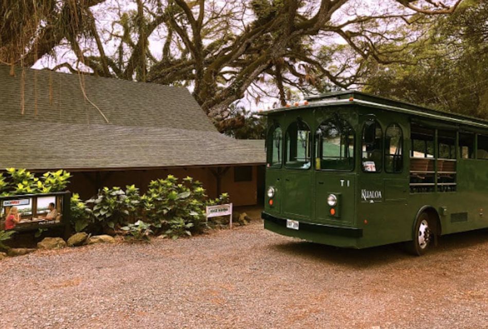 Oahu: Kualoa Movie Sites, Jungle, and Buffet Tour Package - Who should book this Kualoa combo day