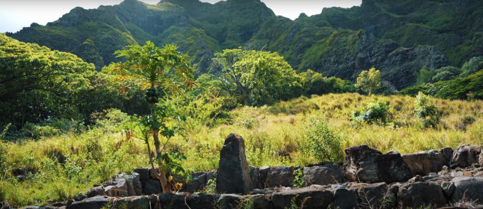 Oahu: Kualoa Open Air Jungle Expedition Tour - Value for money: what you really get in 90 minutes