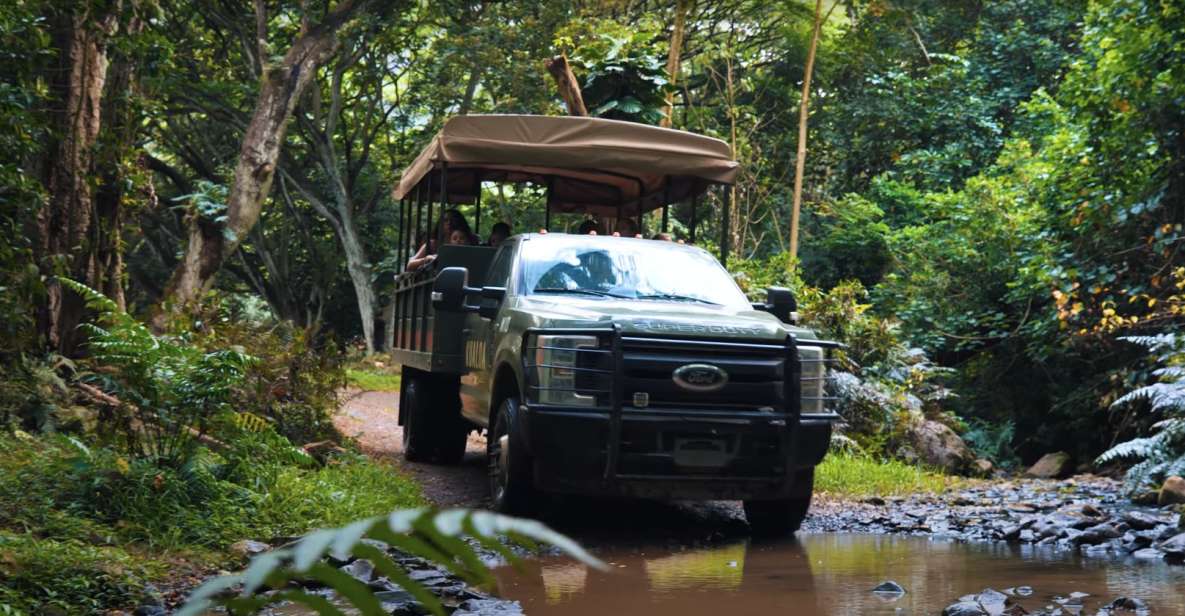 Oahu: Kualoa Open Air Jungle Expedition Tour - Where you meet and how to avoid check-in stress