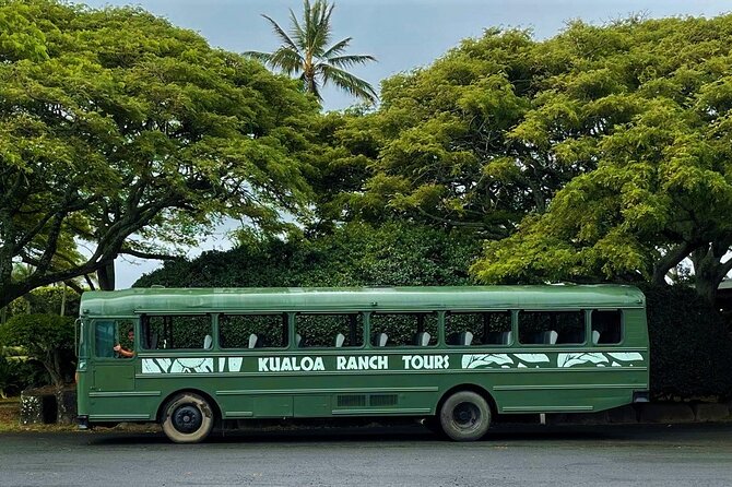 Oahu: Kualoa Ranch Movie Sites and Ranch Tour - Getting started at Kualoa Ranch (and what to watch for)