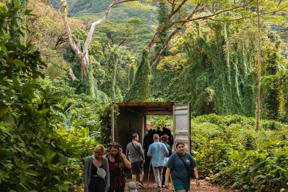 Oahu: Manoa Falls Waterfall Hike with Lunch and Transfers - Key highlights you’ll care about