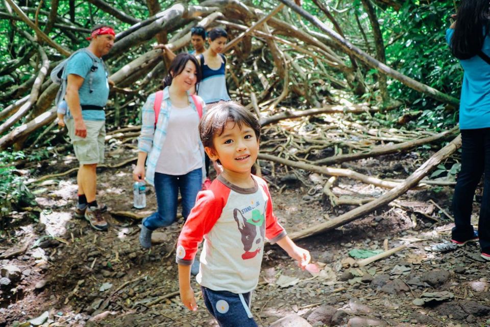 Oahu: Manoa Falls Waterfall Hike with Lunch and Transfers - Tantalus Lookout lunch: Diamond Head and Honolulu views on the same stop