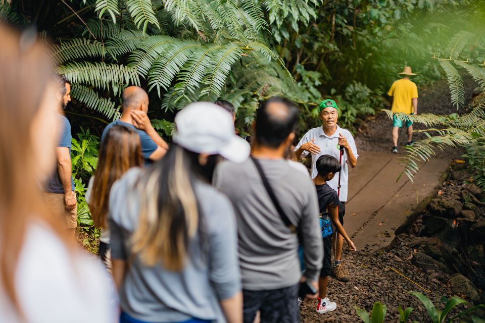 Oahu: Manoa Falls Waterfall Hike with Lunch and Transfers - The 5-hour schedule: great for a shorter Oahu day