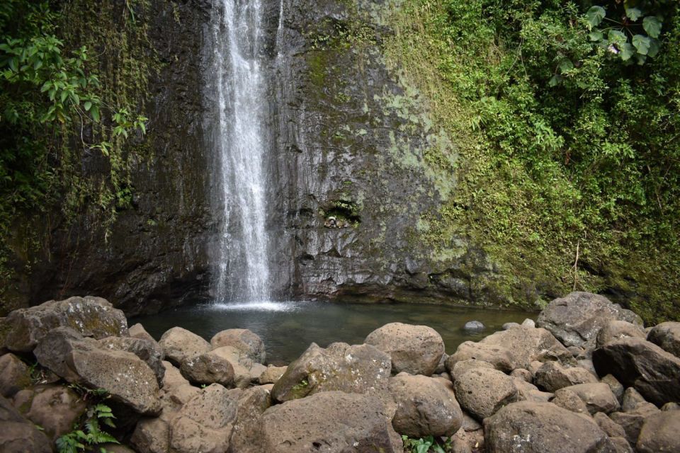 Oahu: Manoa Falls Waterfall Hike with Lunch and Transfers - Price and value: what $119 buys you that matters