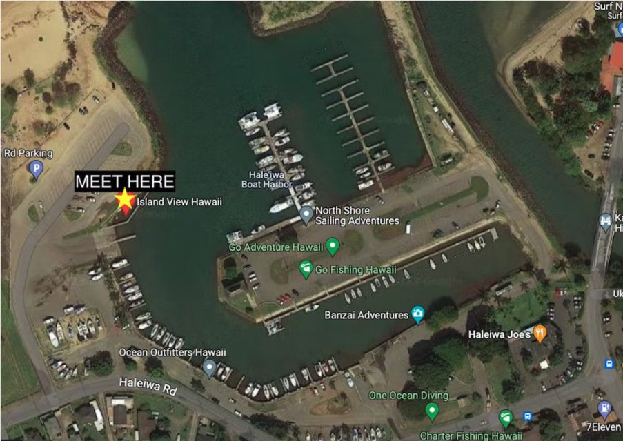Oahu: North Shore Cageless Shark Snorkeling Tour - How the 2 hours on the water actually feels