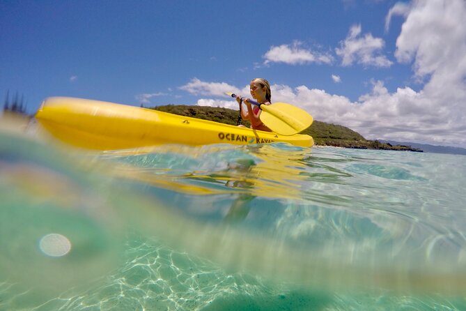 Oahu North Shore Experience: Activities, Waterfall & Free Time - How the Surf Bus turns Waikiki into a North Shore day