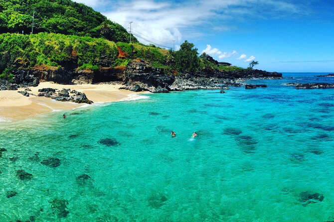 Oahu North Shore Experience: Activities, Waterfall & Free Time - Waimea Bay and Waimea Valley: where your 2-hour water window happens