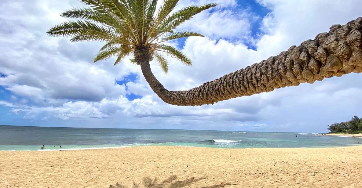 Oahu: North Shore Experience and Dole Plantation - Key Points You’ll Care About