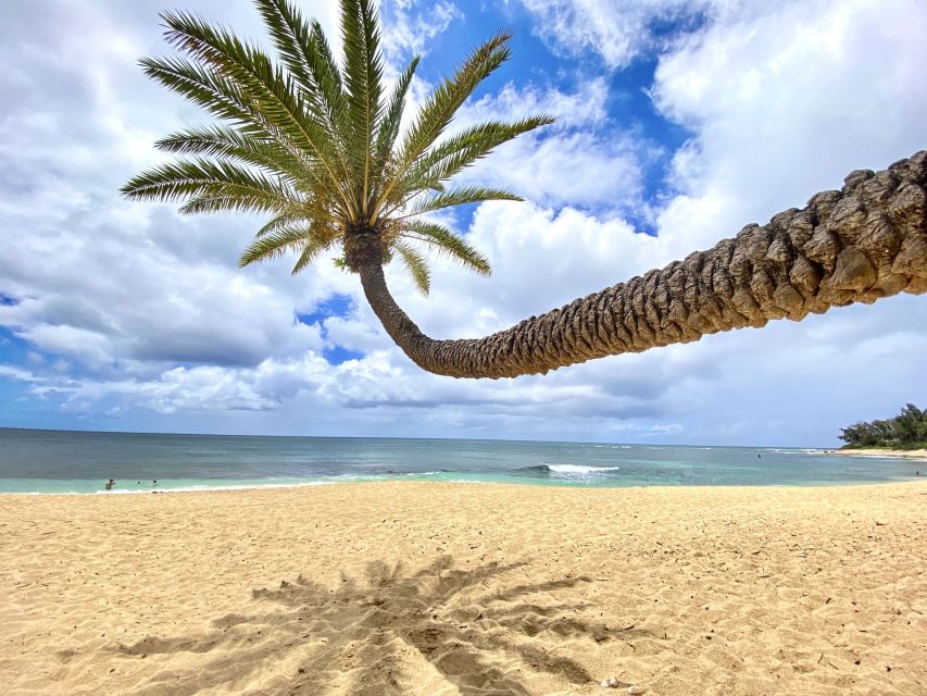 Oahu: North Shore Experience and Dole Plantation - On the Way North: Macadamia Shopping and Kualoa Quick Views