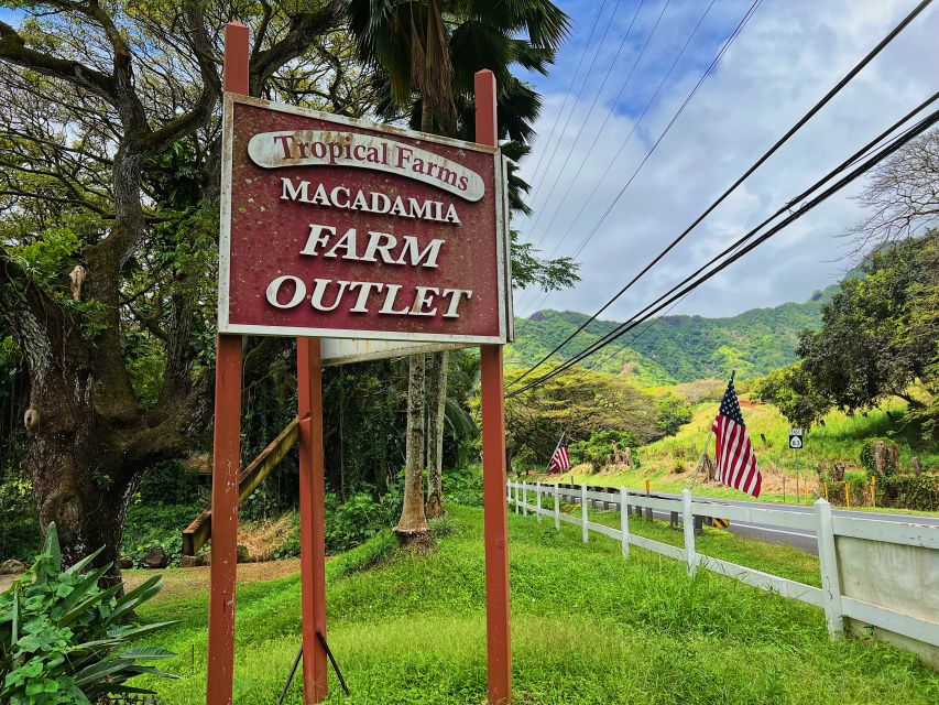 Oahu: North Shore Experience and Dole Plantation - Sunset Beach and Haleiwa Alii Beach: Sand, Surfers, and Big-Wave Season