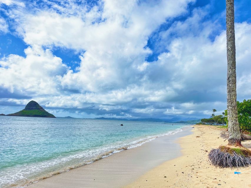 Oahu: North Shore Experience and Dole Plantation - Pace, Practicalities, and Who This Tour Fits Best