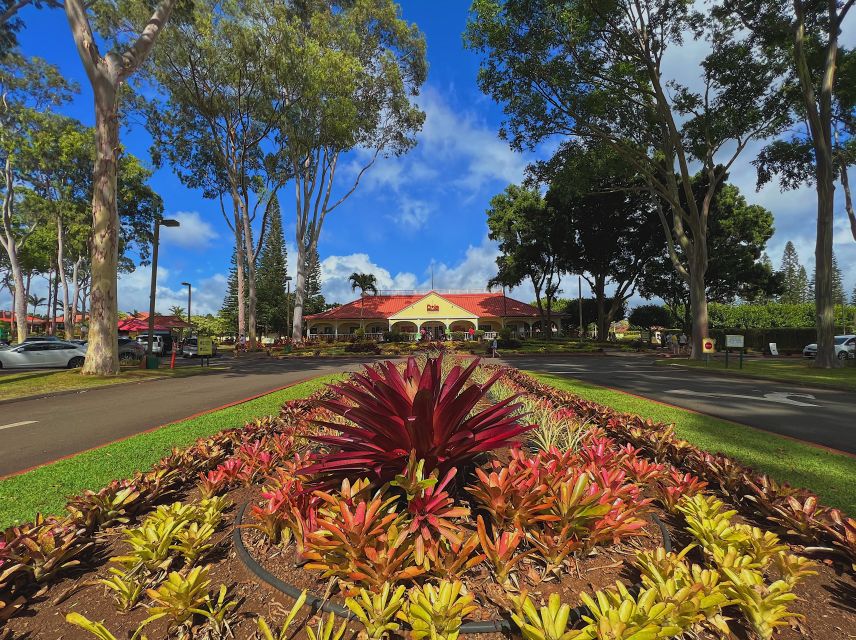 Oahu: North Shore Experience and Dole Plantation - Halona Blowhole and Cove: Where the Ocean Puts on a Show