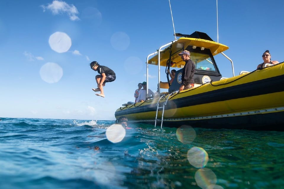 Oahu: North Shore Snorkeling Tour from Haleiwa - Haleiwa Harbor to Waimea Bay: the smooth parts and the rollercoaster parts