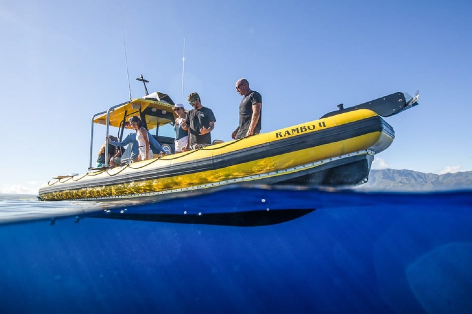 Oahu: North Shore Snorkeling Tour from Haleiwa - The snorkeling spot strategy: why staying with the guide matters