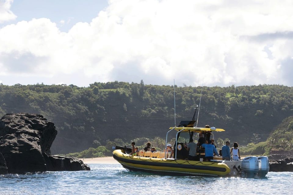 Oahu: North Shore Snorkeling Tour from Haleiwa - The 2-hour rhythm: fast, focused, and not a “sit and wait” tour