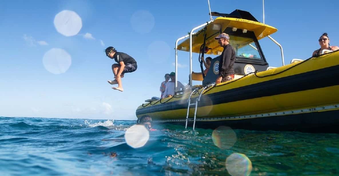 Oahu: North Shore Snorkeling Tour from Haleiwa - Price and value: why $110 can make sense here