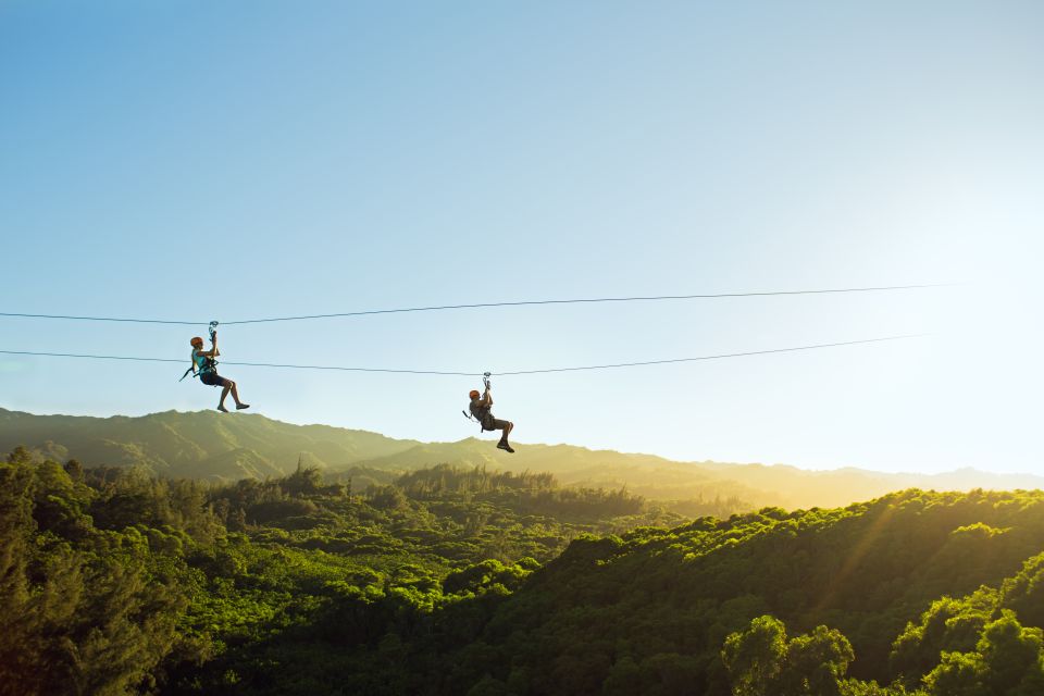 Oahu: North Shore Zip Line Adventure with ATV and Farm Tour - 8 dual zip lines: side by side speed, quiet rides, big distances