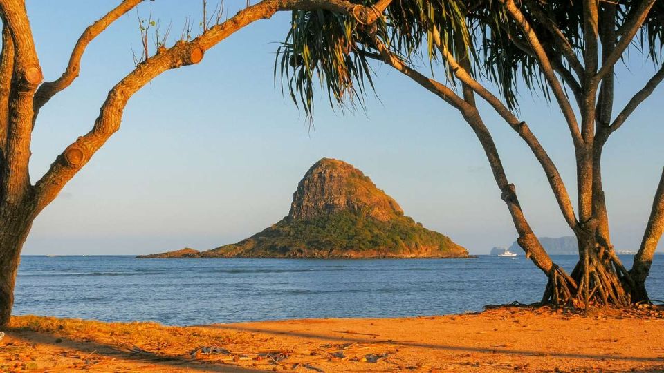 Oahu: Oahu Ultimate Grand Circle Island Tour - Hale‘iwa and the Surf Town Energy: Food, Facts, and Quick Stops
