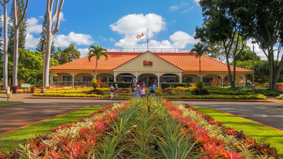 Oahu: Oahu Ultimate Grand Circle Island Tour - Waikiki Pickup at 2412 Koa Ave: Where Patience Pays