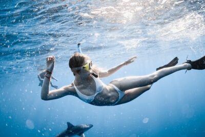 Oahu Open Water Shark Diving Experience - The Value of “Small Group + Photographer” for $150