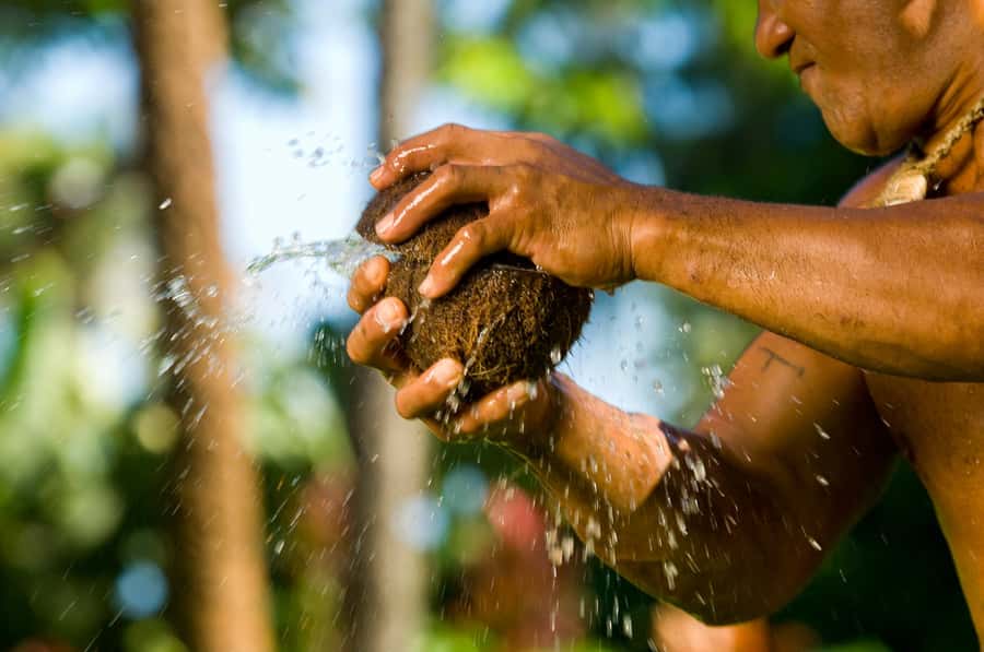 Oahu: Polynesian Cultural Center Island Villages Ticket - Fiji’s rhythm: dance, music, coconut oil, and a chief’s home
