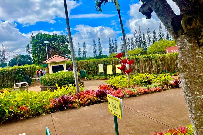 Oahu: Roundtrip Shuttle From Waikiki to Dole Plantation & Haleiwa - Key highlights you’ll feel right away