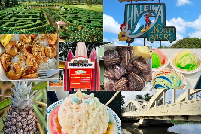 Oahu: Roundtrip Shuttle From Waikiki to Dole Plantation & Haleiwa - Price and value: what $30.25 buys you (and what it doesn’t)