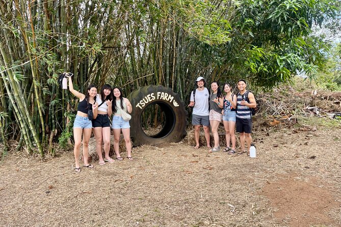 Oahu: Roundtrip Shuttle From Waikiki to Dole Plantation & Haleiwa - Comfort, ride quality, and the guide impact
