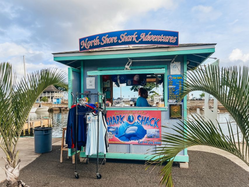 Oahu: Shark Cage Dive on the North Shore - Key Highlights That Matter