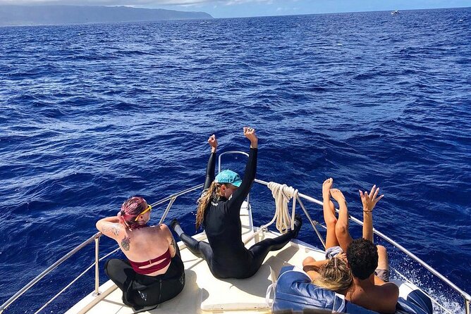 Oahu Shark Dive Educational Tour (No cage) - Waimea Bay: Winter Surf Power and Summer Snorkel Calm